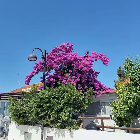 Una Piccola Casa Al Mare Apartment *